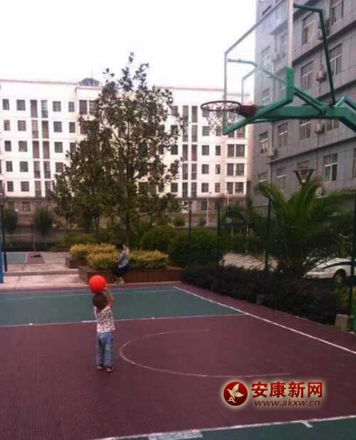 ��������Ͷ�@��