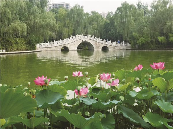  �L��ɏ������G���M�D��