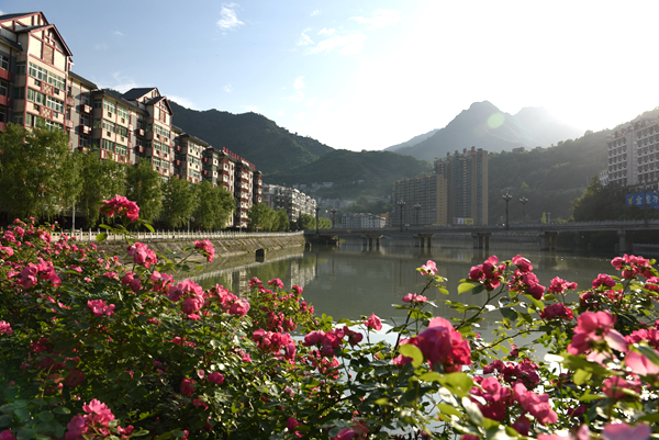 �Nޱ���_ӳС��