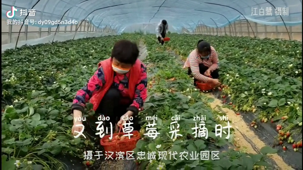 �ֵ���ݮ��ժ�r