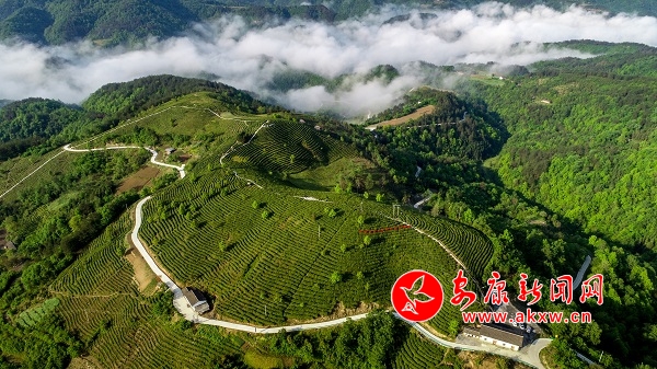 һƬ��ɫ��Ȼ