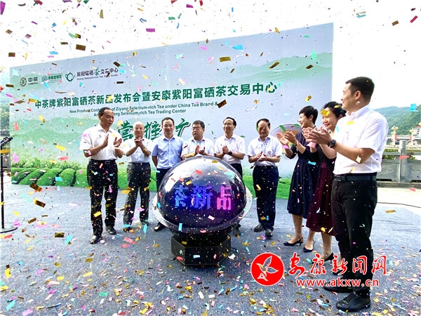 ҕ�� | �o�����ꖸ����茣���u��30������Մ������ꖿh�e��