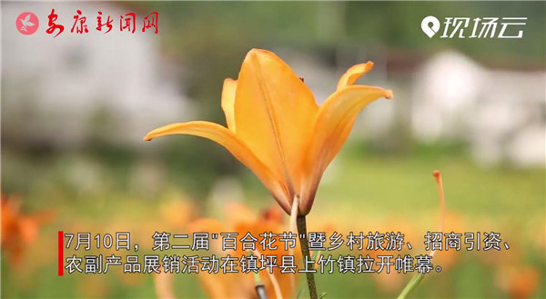 ҕ�����M�@�ٺϻ��h��