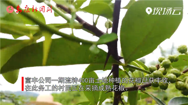 ҕ�����h�I�^(q��)�P(gu��n)�R�(zh��n)�����Юa(ch��n)�I(y��)��Óؚ�������|(zh��)��Ч