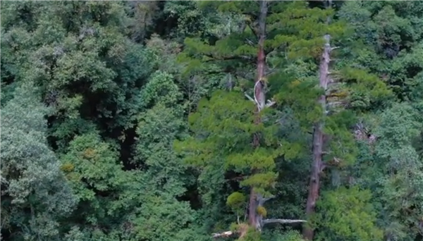 ȫ����Óؚ���ԡ���(y��u)��o(j��)�Ƭչ��������Խŭ������������ؓ��ɽ