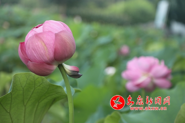 ���ĺɻ��� �p������(d��ng)�r