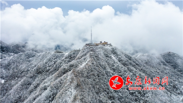 ����֮ѩ̎̎��