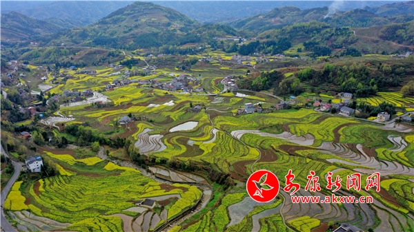 ���M�h�������