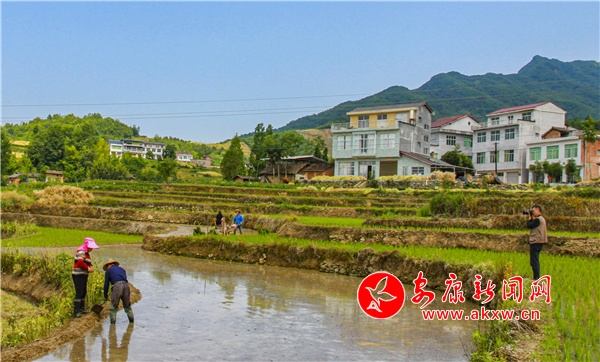 �h��P�߹����� �����r(n��ng)æ����(d��ng)�r