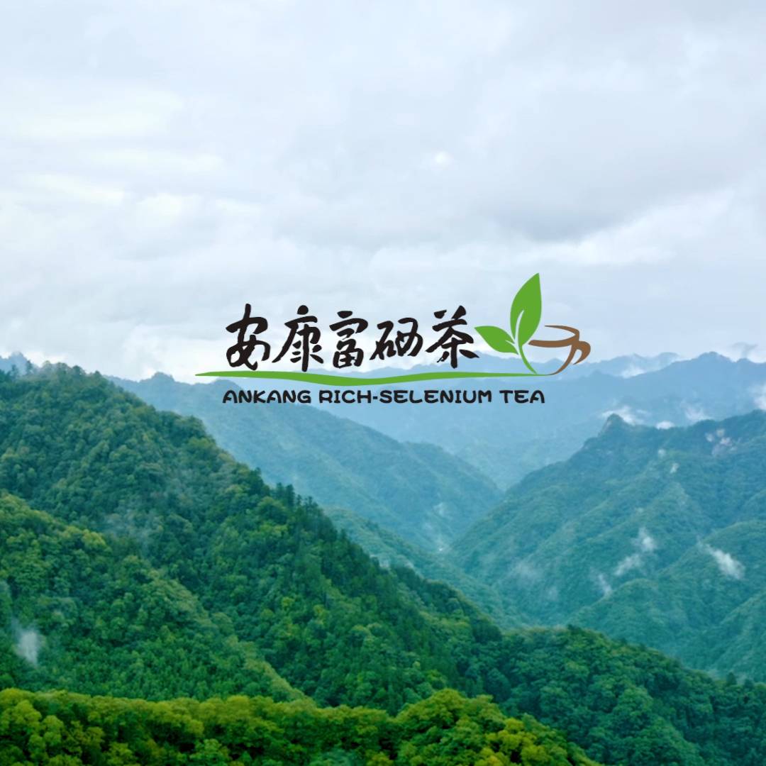 ��������������Ƭ��