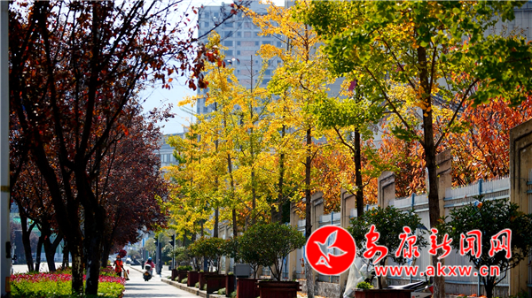 ��Ⱦ�h� ��ʰߔ�������