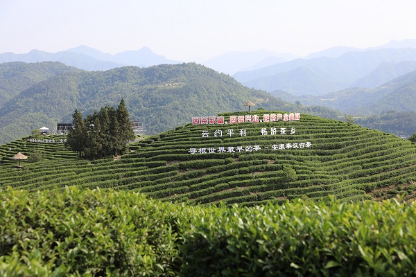 2023�����H���ա��Ї���������ڼ� ����늾W(w��ng)ȫ�������