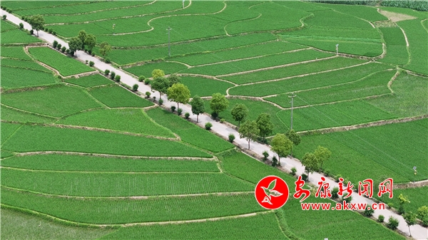 �hꎣ����յ���G�ⰻȻ �����l(xi��ng)����Ԋ�箋