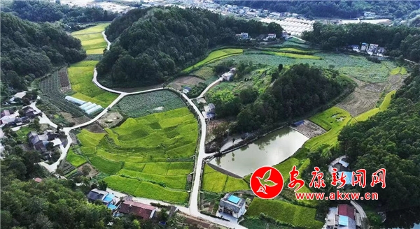 ʯȪ���l(xi��ng)�塰�ֵ�ߡ� ���á��ό���