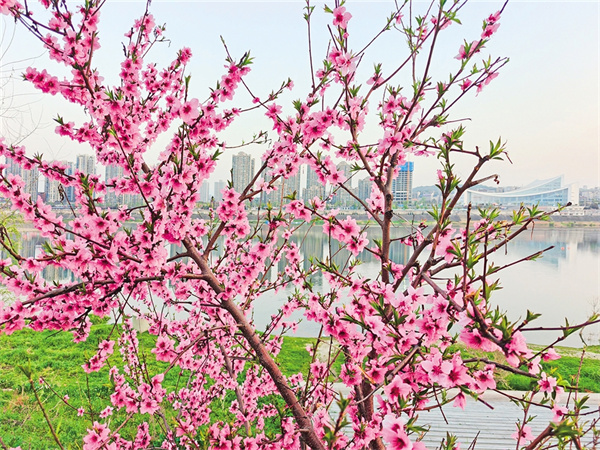 һ����ˮһ��Ԋ