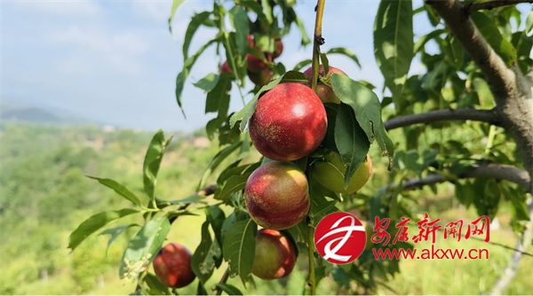 ���ĕr��(ji��) �Ϲ��h��