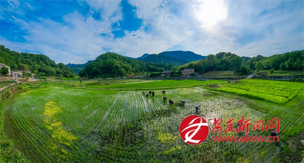 ���������L�����ָ�y��