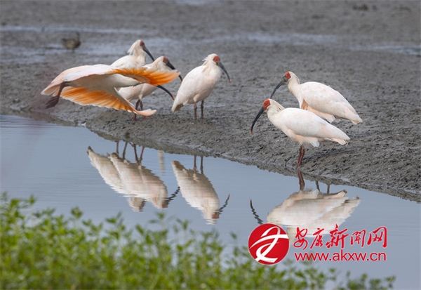 �R�^��ġ����B(t��i)���`���c�����l(xi��ng)��