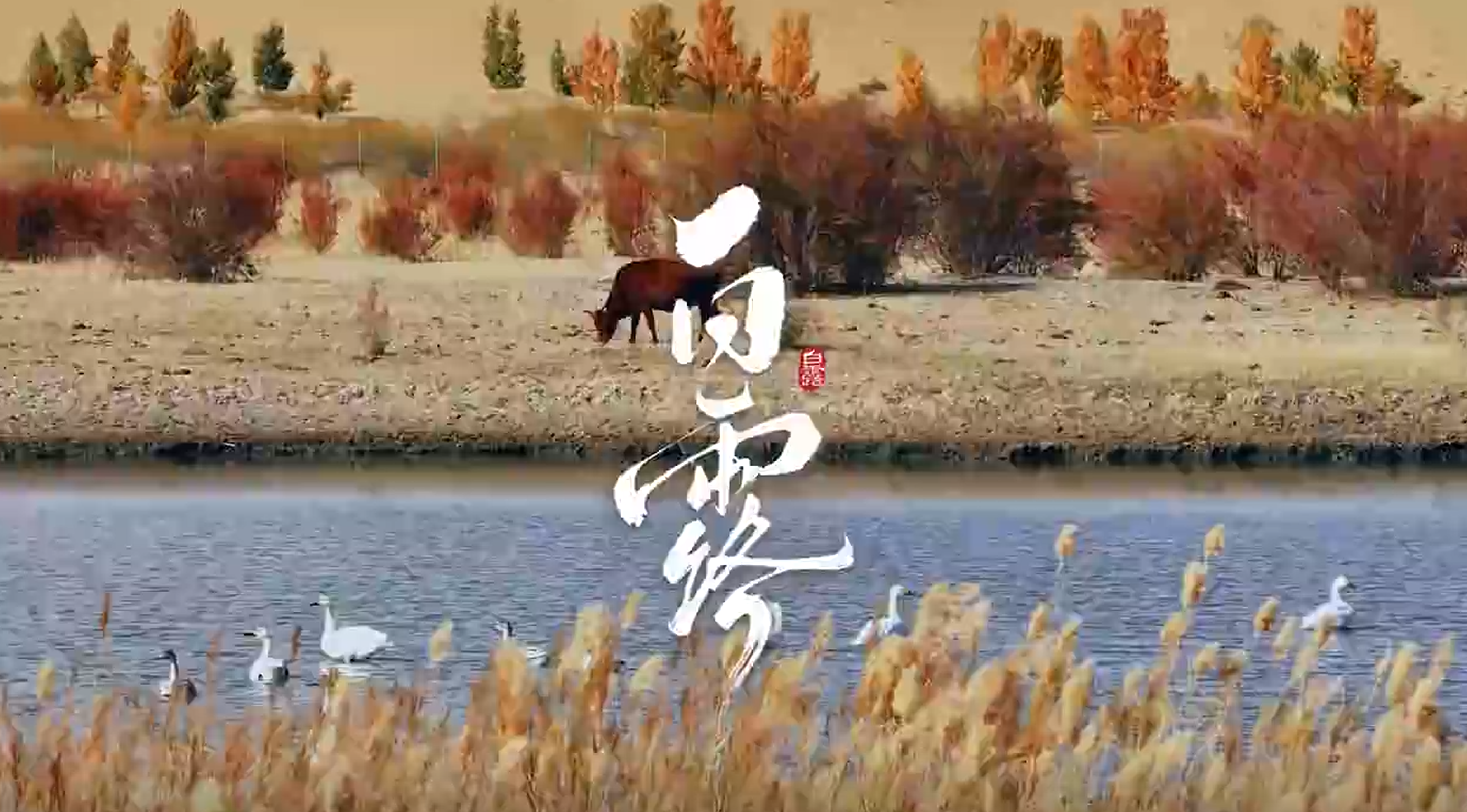 �Ļ��Ї�(gu��)��ح��¶�r(sh��)��(ji��)�����u�ˣ��������