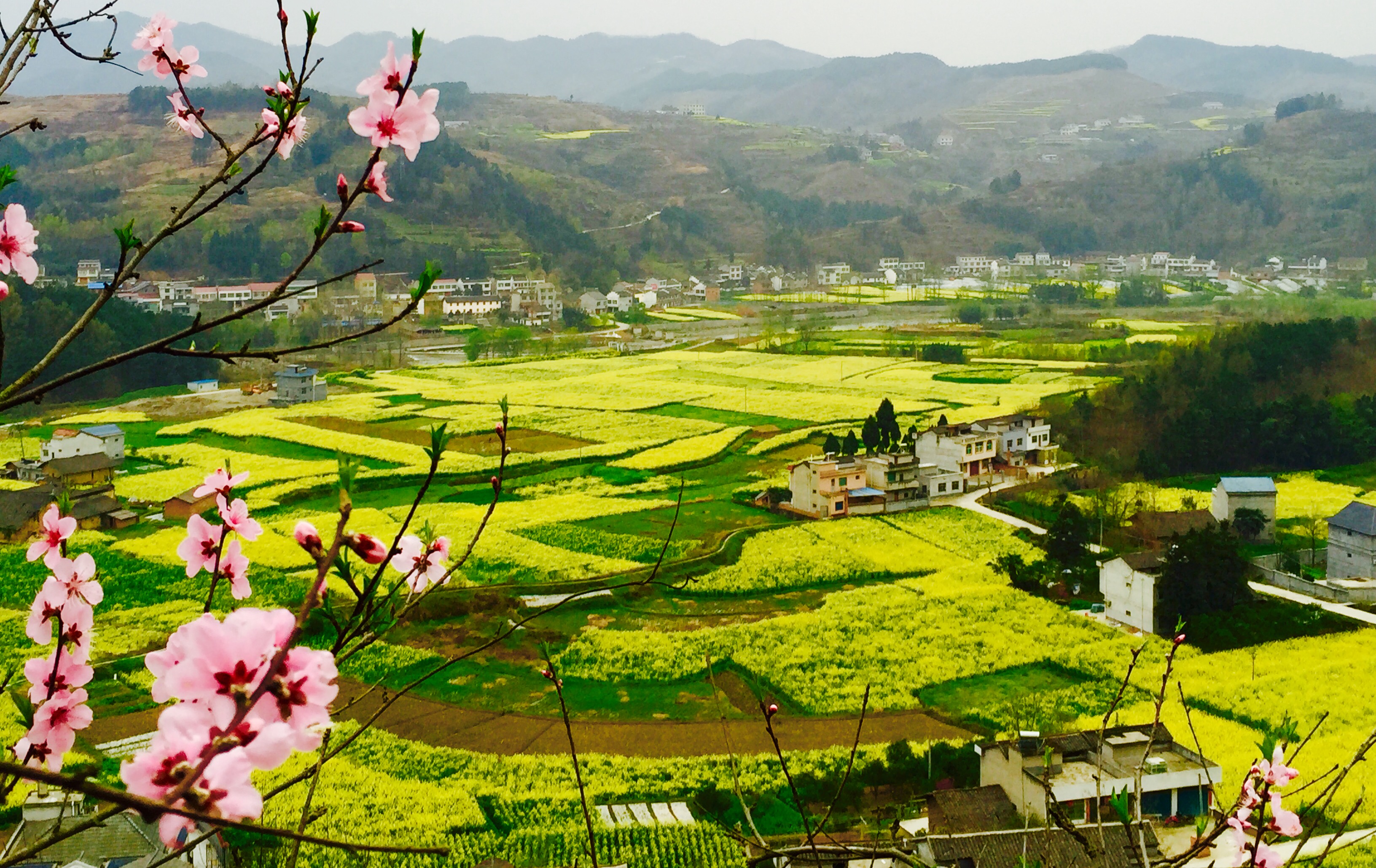 �������S����p����