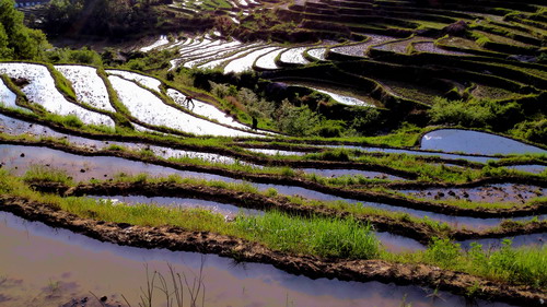 ��������(d��ng)�r