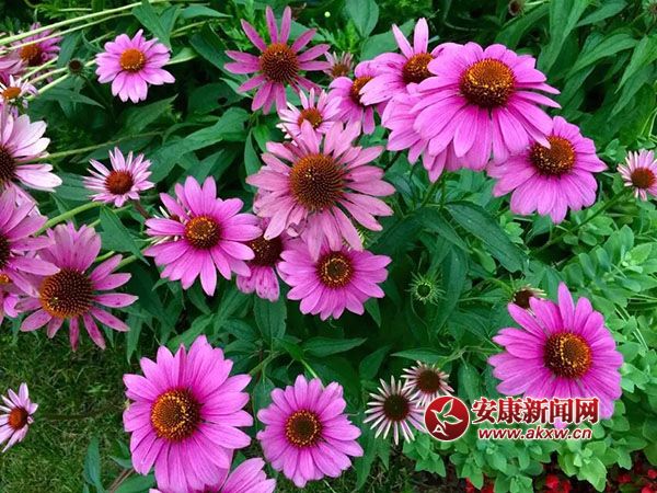 ������(j��ng)�_(k��i)�Ҹ���