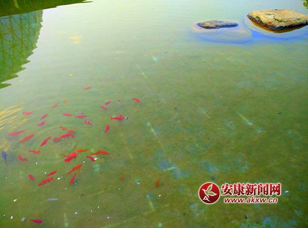 �t���~(y��)