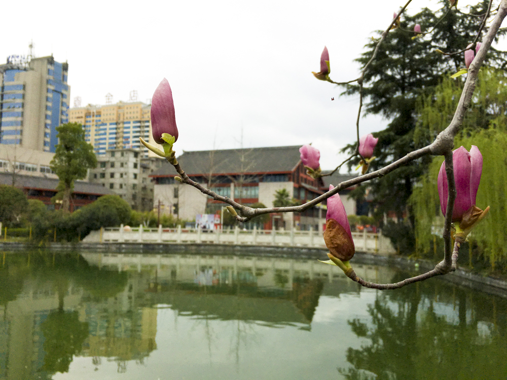 ����������������