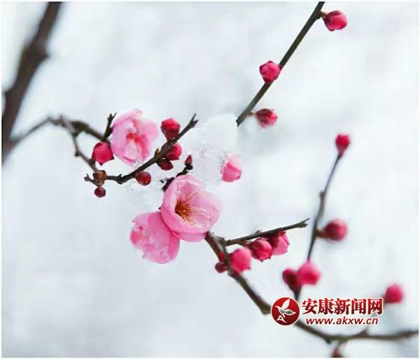 ���L�L�w���������l��һ���փɰ룿