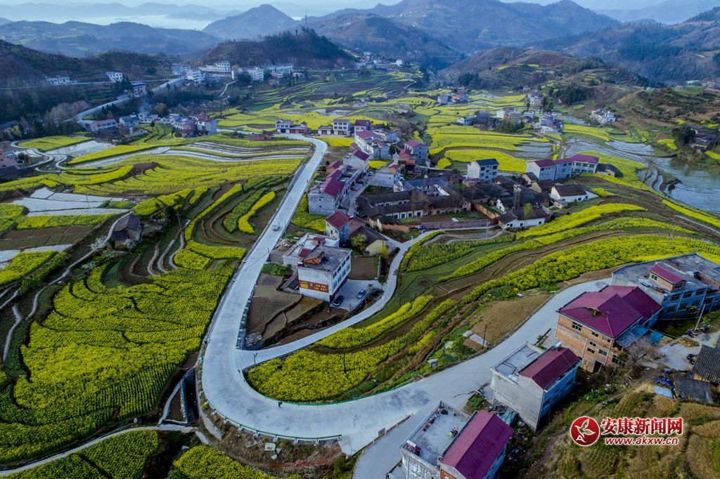 ���P�ߴ�ɫ���zӰ��Ƥ�¾S���Ԓ���h��13325355508���Ĕz�����ʡ�hꎿh���u�(zh��n)�P�߹������� - ����.JPG