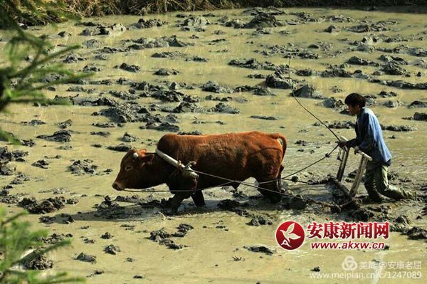 �����г�