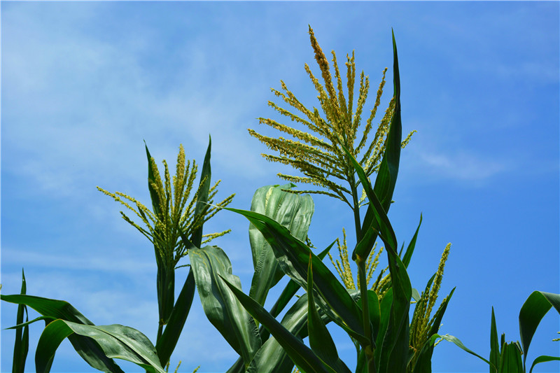 ��ʏ?f��)����Ͼ󏊵ľG