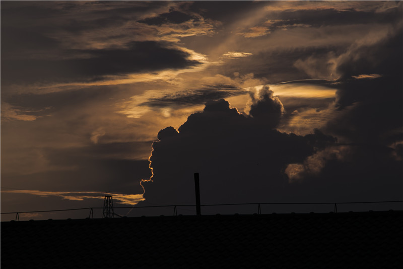 ����Ȼ�Į��P