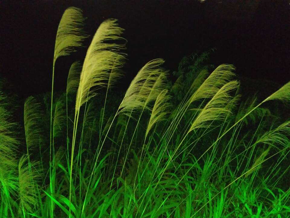 �JȔ�c�L(f��ng)