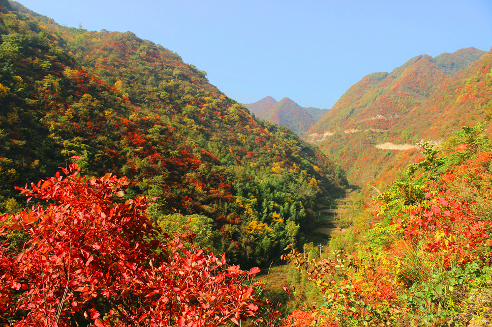 ���(y��ng)�׌üt�~��(ji��)��(l��i)����