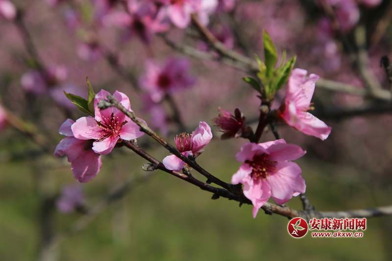 �������� ��ʰߔ�