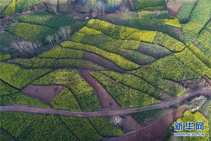 �������hꎽ�ɫ�Ͳ˻���