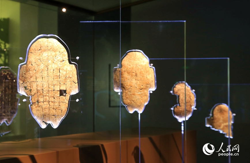 殷墟博物館展出的甲骨文。人民網(wǎng)記者 慎志遠 攝