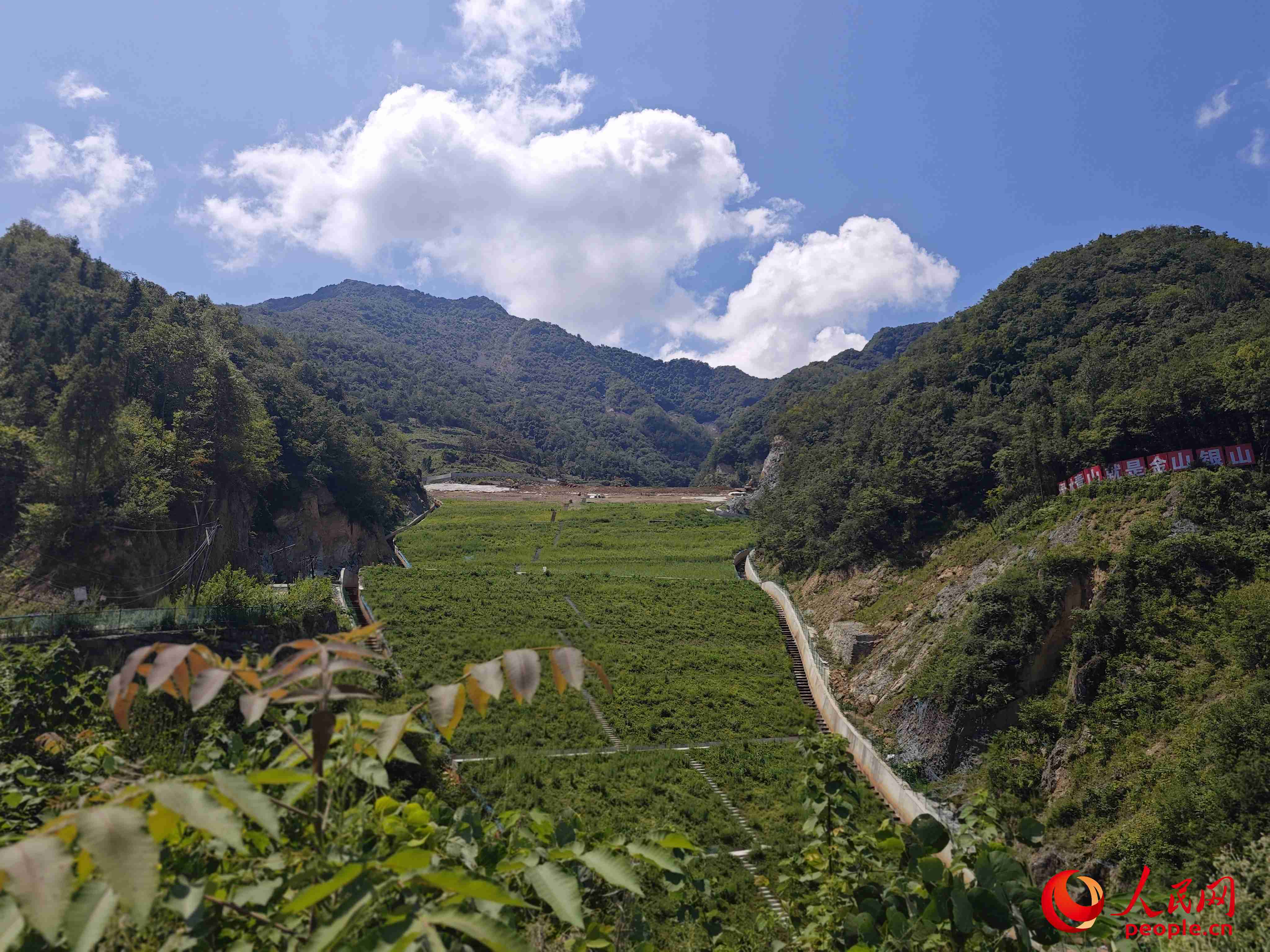 已部分復(fù)綠的貯存場(chǎng)。人民網(wǎng)記者 黃鈺攝