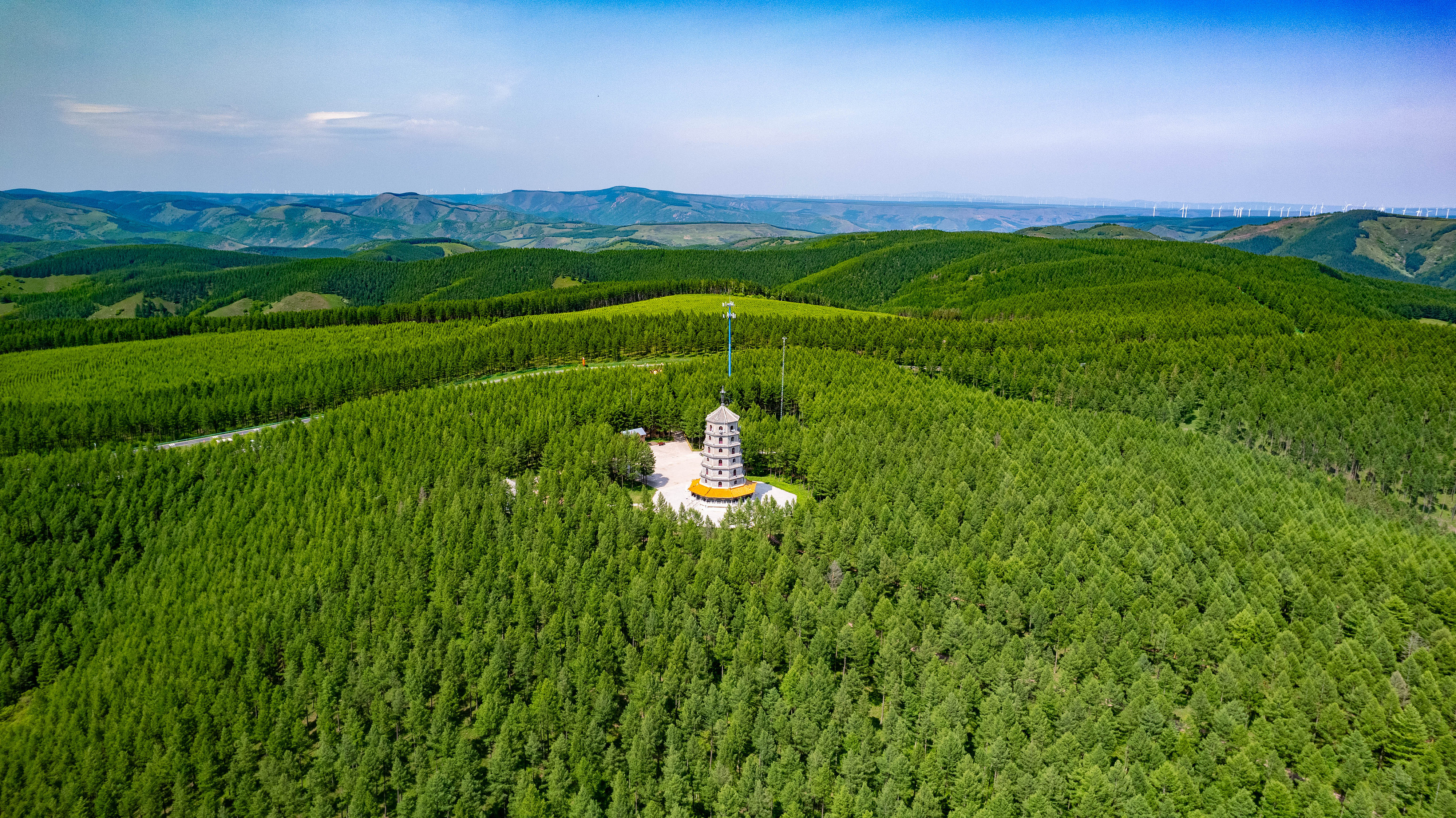 2025年6月11日，河北承德，塞罕壩林海浩渺。